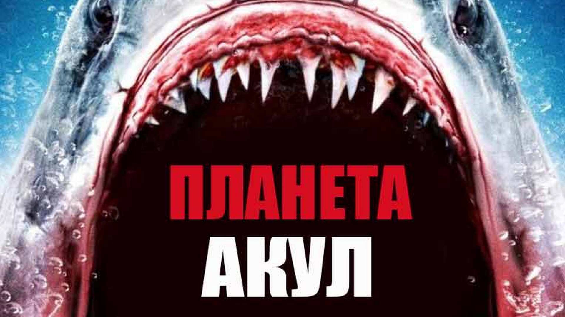 Ужасы про акул. Планета акул фильм. Голубая Планета про акул. Planet of the Sharks, 2016. Акула Траш.